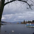 TripTrekTreat