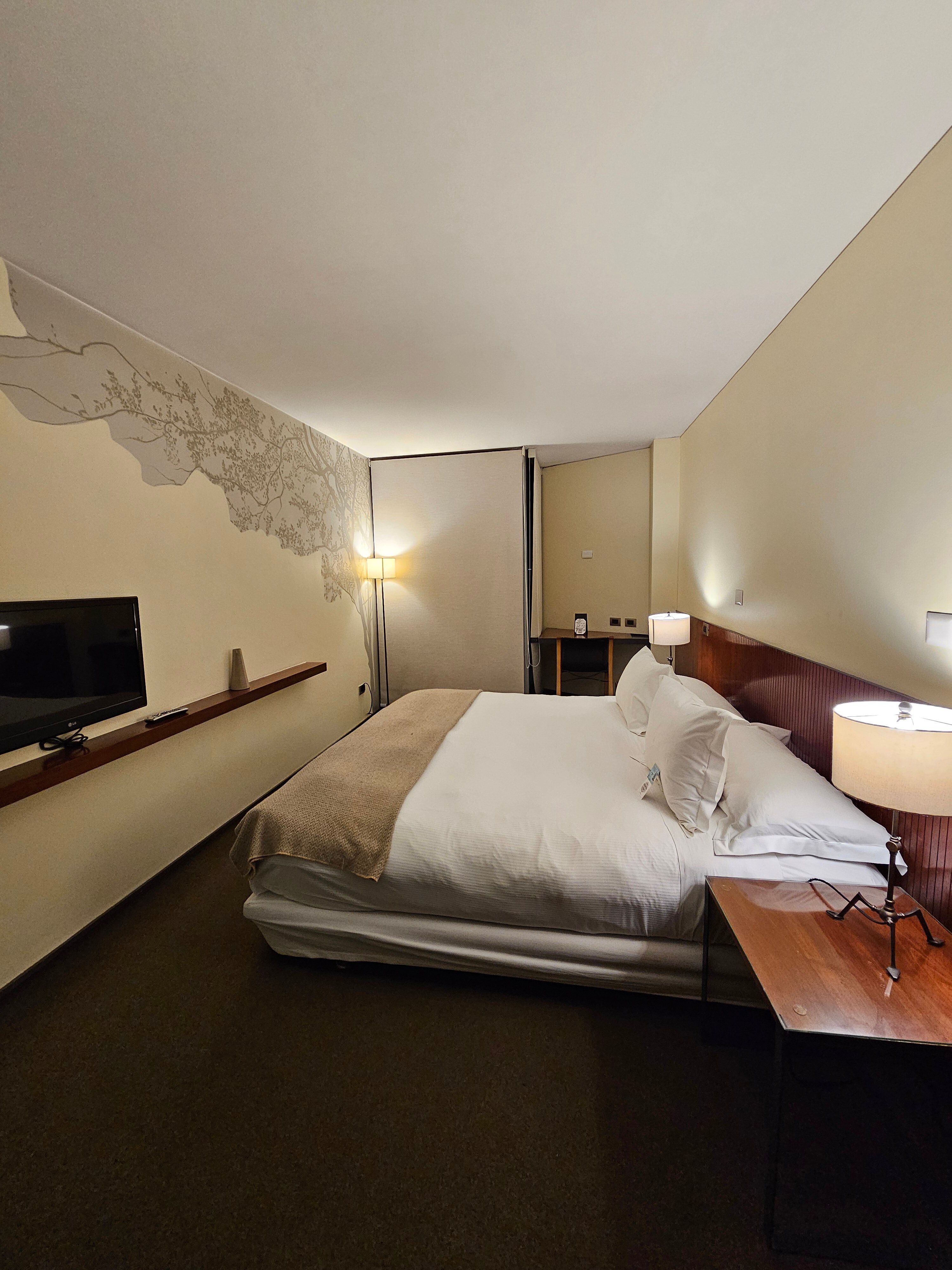 Hotel Ismael-客卧