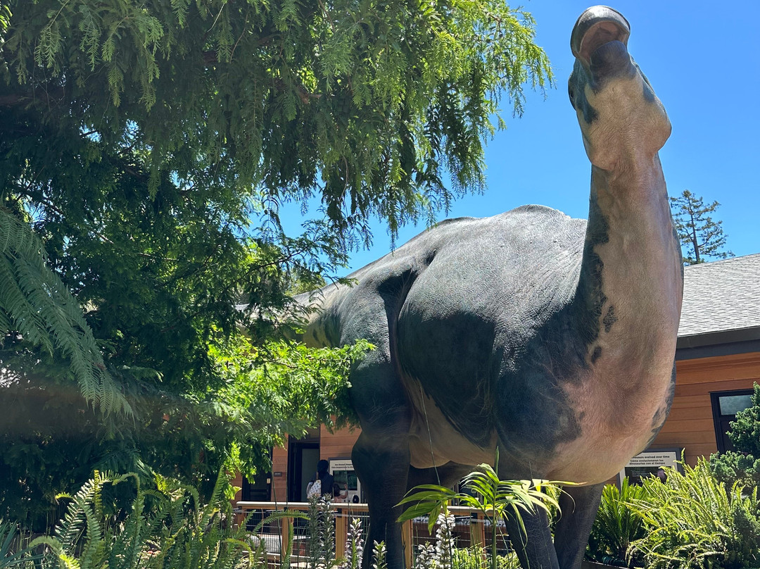 Palo Alto Junior Museum & Zoo-帕罗奥多必去景点