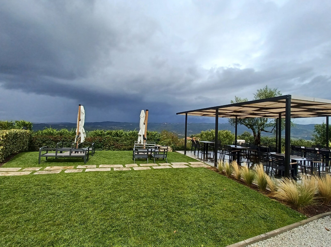 Rossi Winery-Vizinada必去景点
