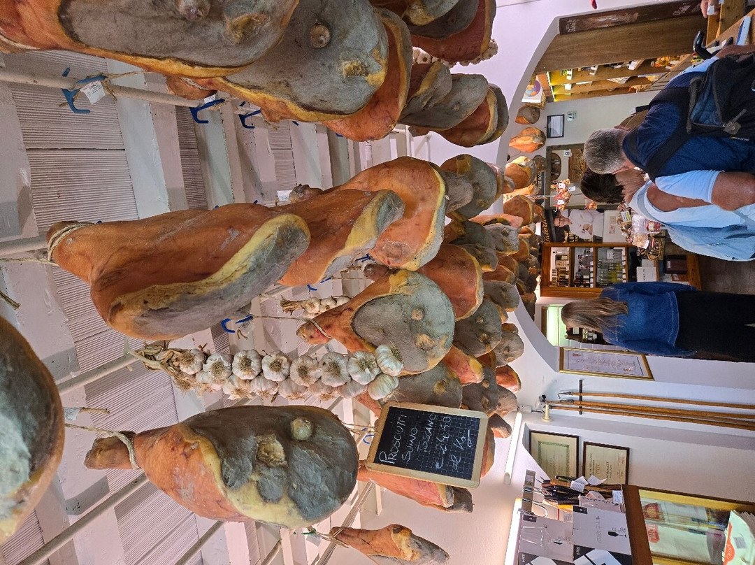 Monumento al Navigatore Giovanni da Verrazzano-格雷韦伊恩基亚恩蒂必去景点