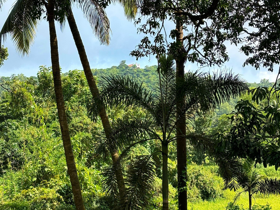 The Postcard Cuelim主图