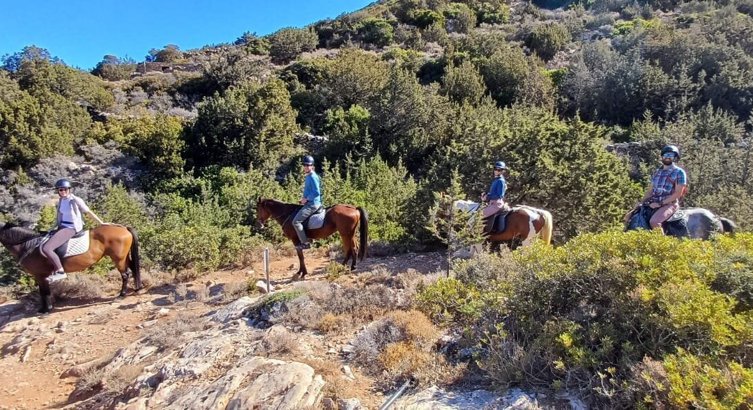 Sifnos Horseriding景点图片