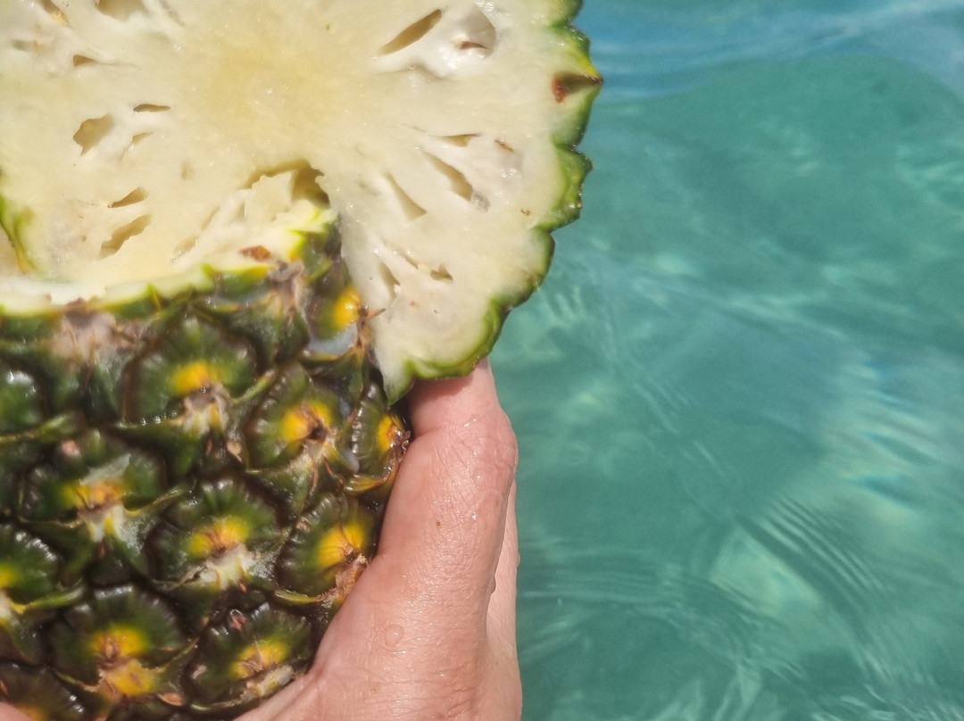 Natal Mar Receptivo-Natal必去景点