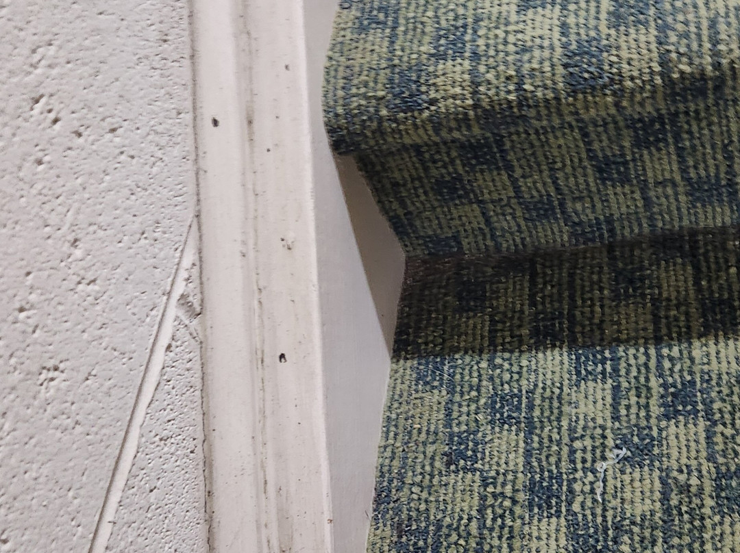 Candlewood Suites Colonial Heights-Ft Lee by IHG主图