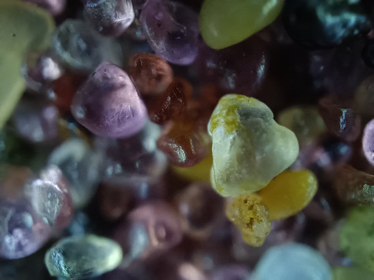 Inami Safaris-华维斯湾必去景点