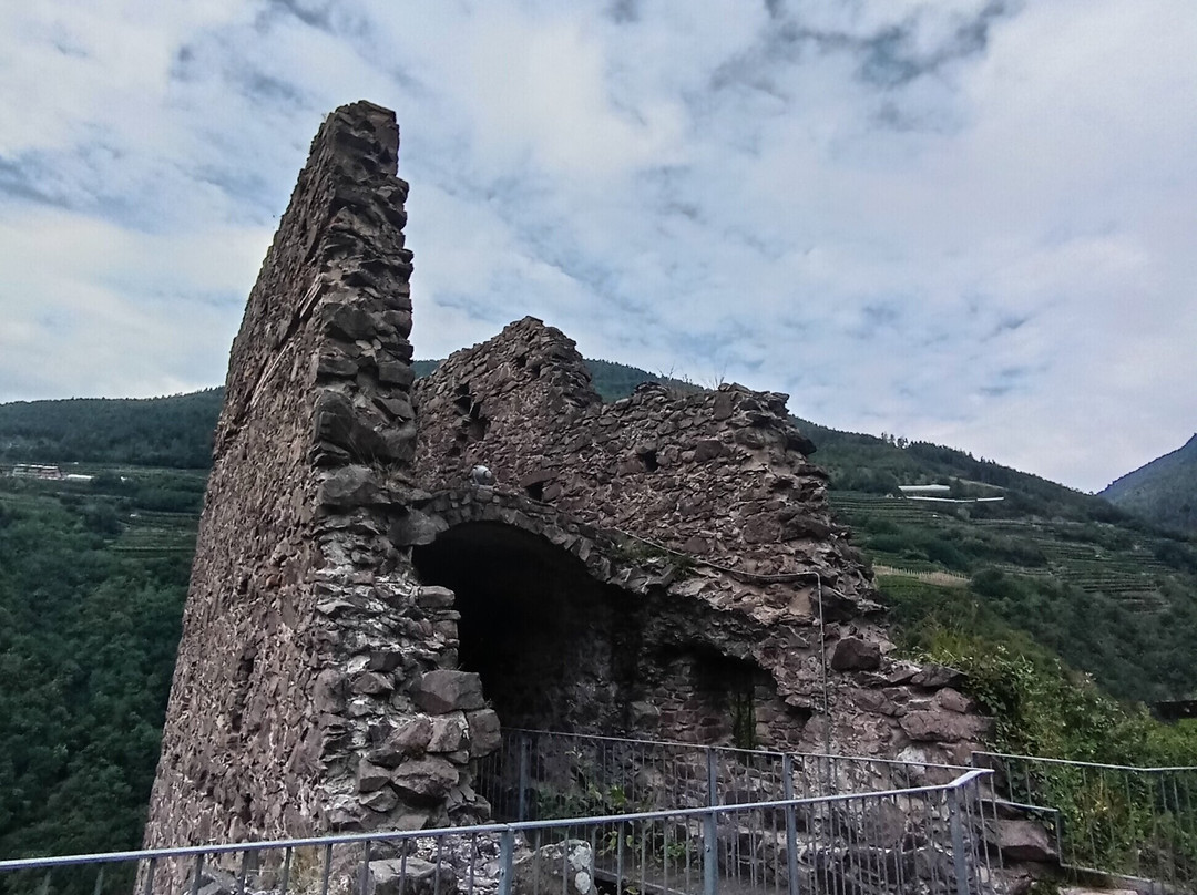 Cantina Barone a Prato dal 1885景点图片