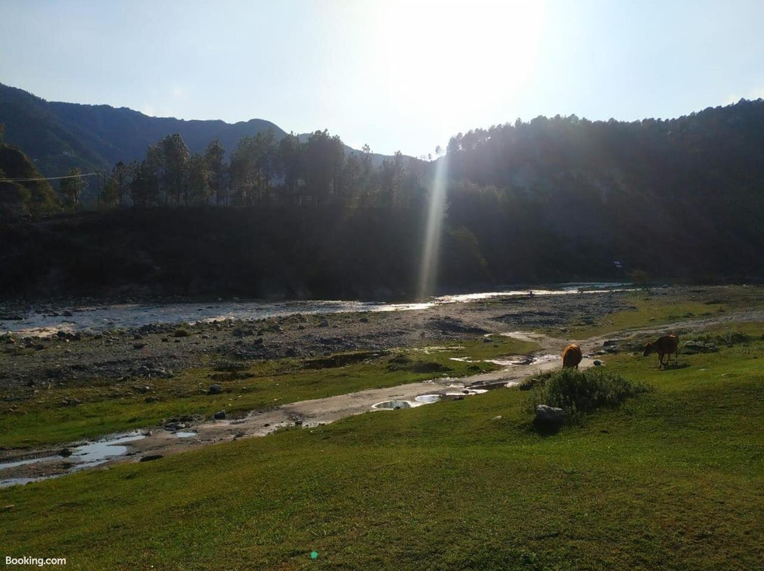 Yellow Valley Homestay主图