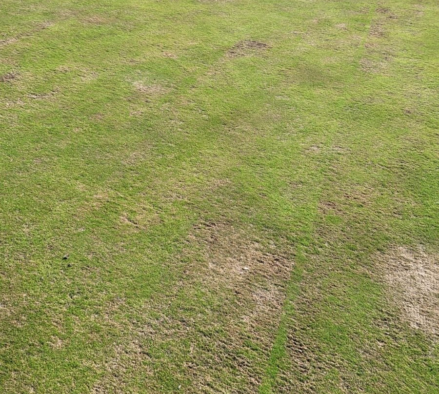 Eurovalley Golf Park Club Malacky景点图片