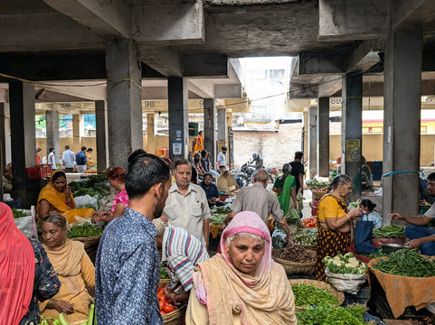 Tour Guide Manish-乌代布尔必去景点
