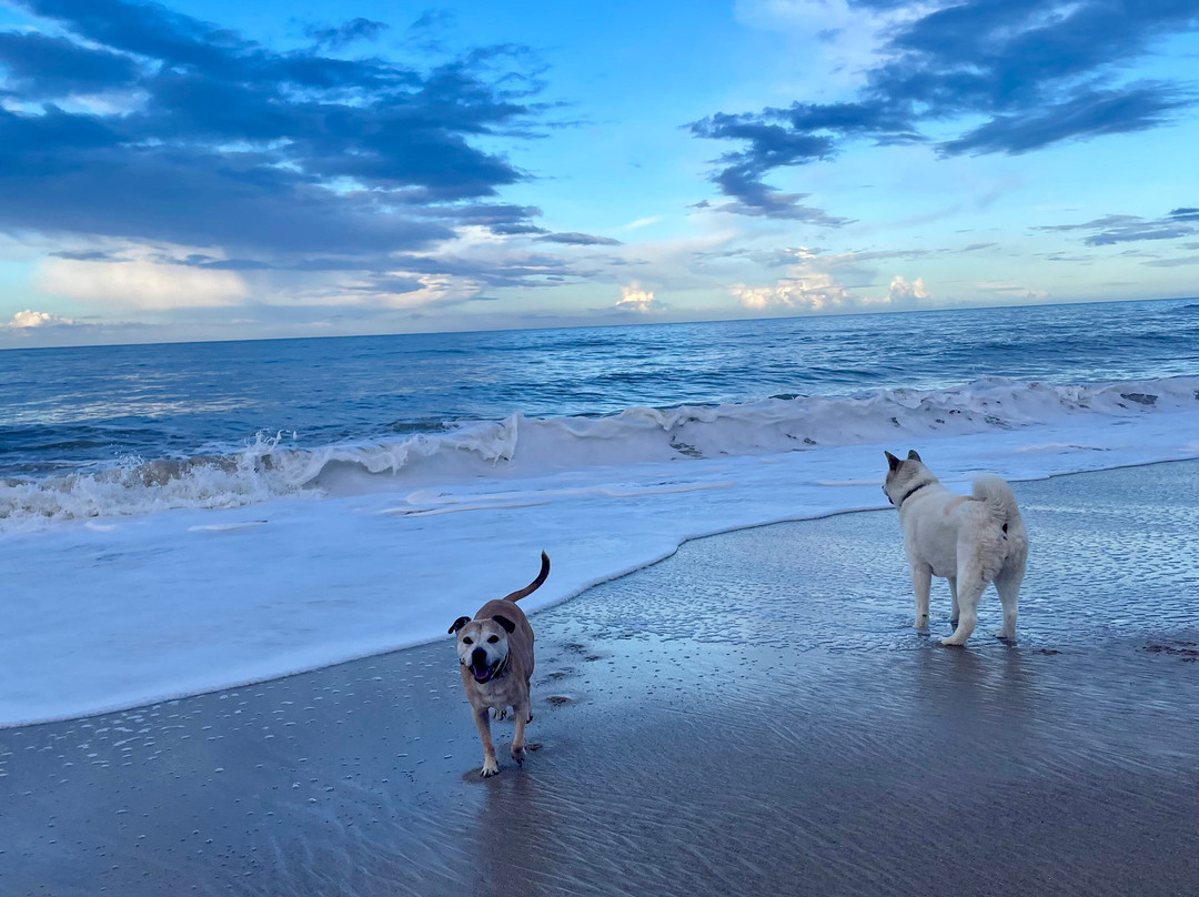 Bacton Beach-Bacton必去景点