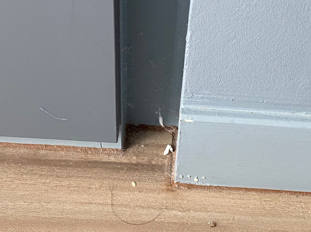 Citadines DPulze Cyberjaya主图