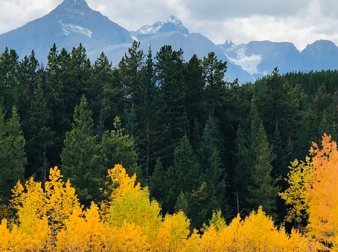 Columbia Icefield Discovery Centre-贾斯珀国家公园必去景点