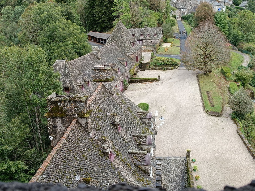 Chateau d'Anjony景点图片