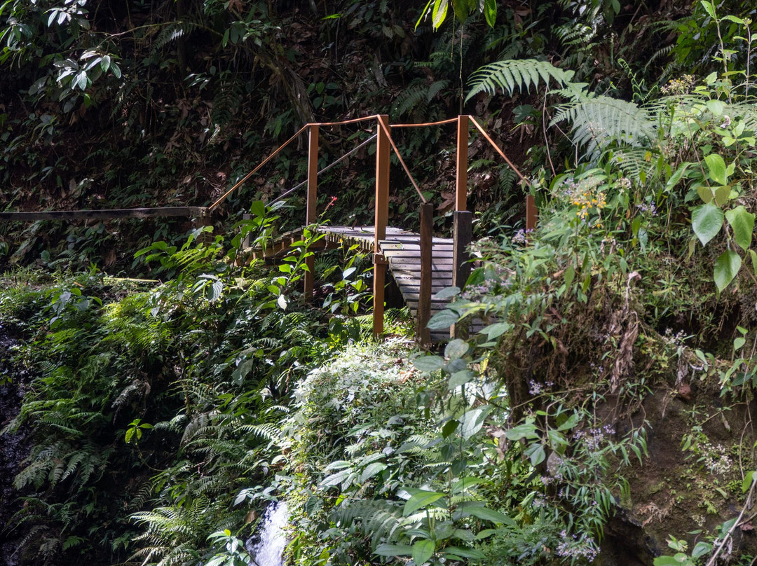 Pozas Y Cascadas La Presa景点图片