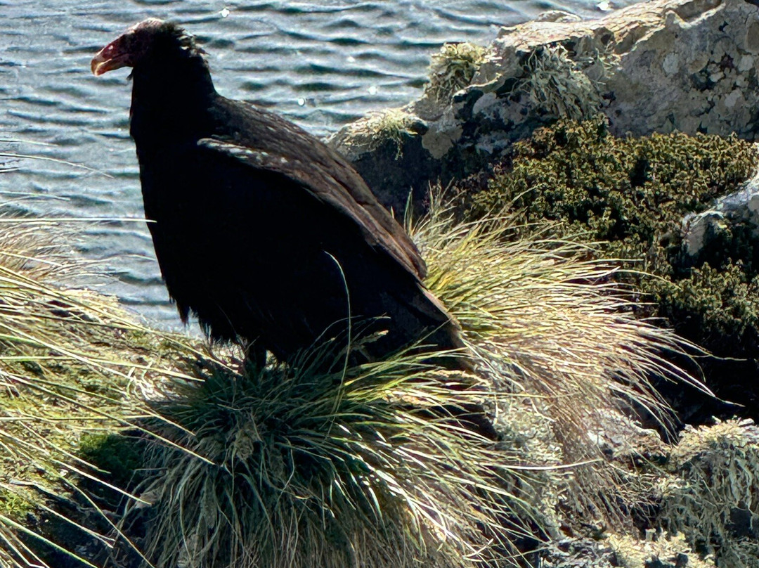 Gypsy Cove-Stanley必去景点