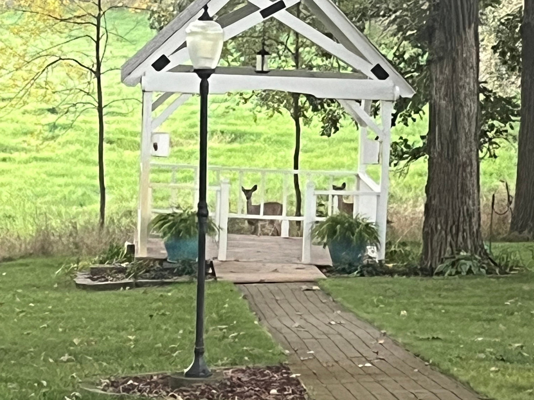 The Oakwood Inn主图