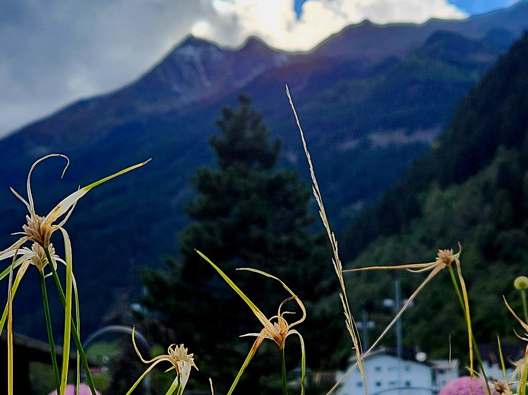 Spa Hotel Jagdhof主图