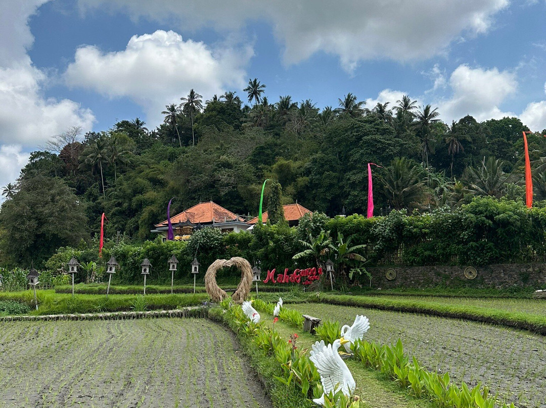 Bali Sunny Holiday-沙努尔必去景点