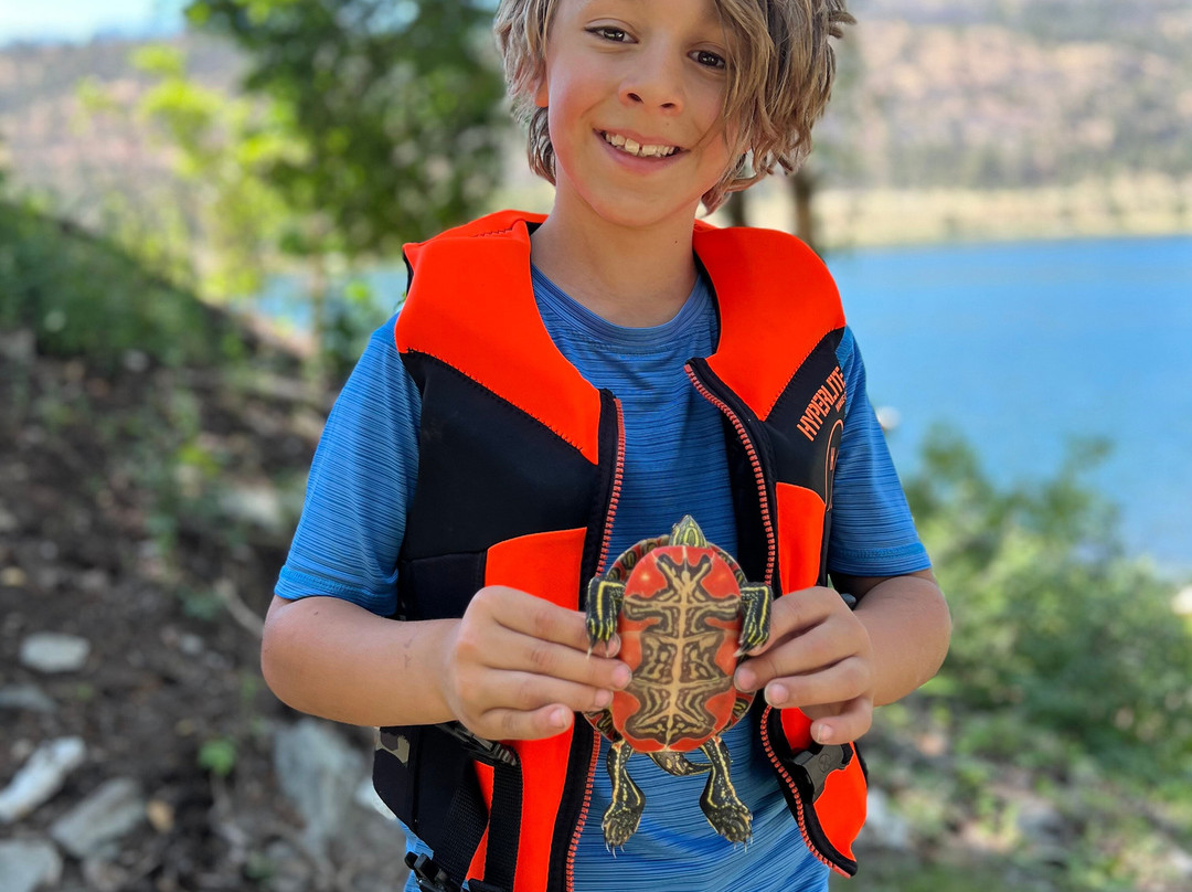 The Sun Cove Resort主图