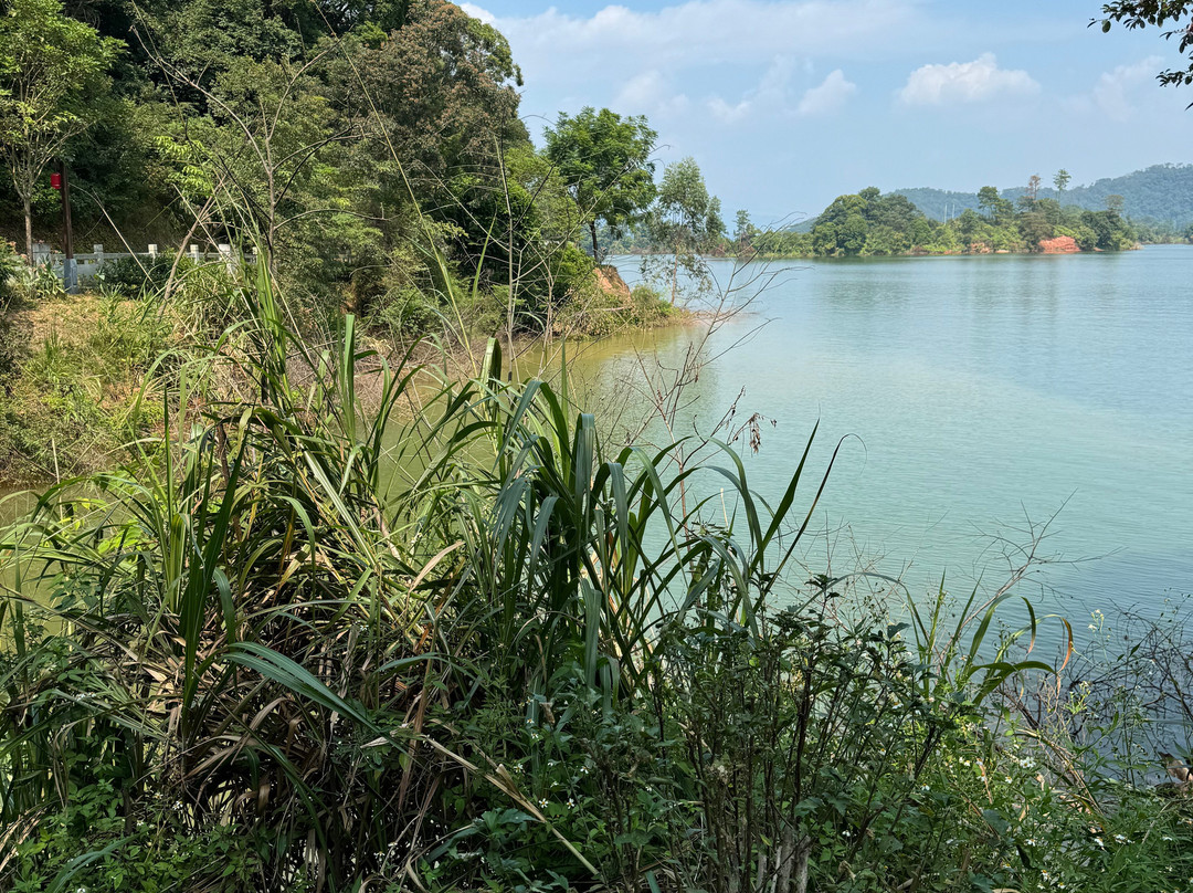 龙凤岛-东源县必去景点