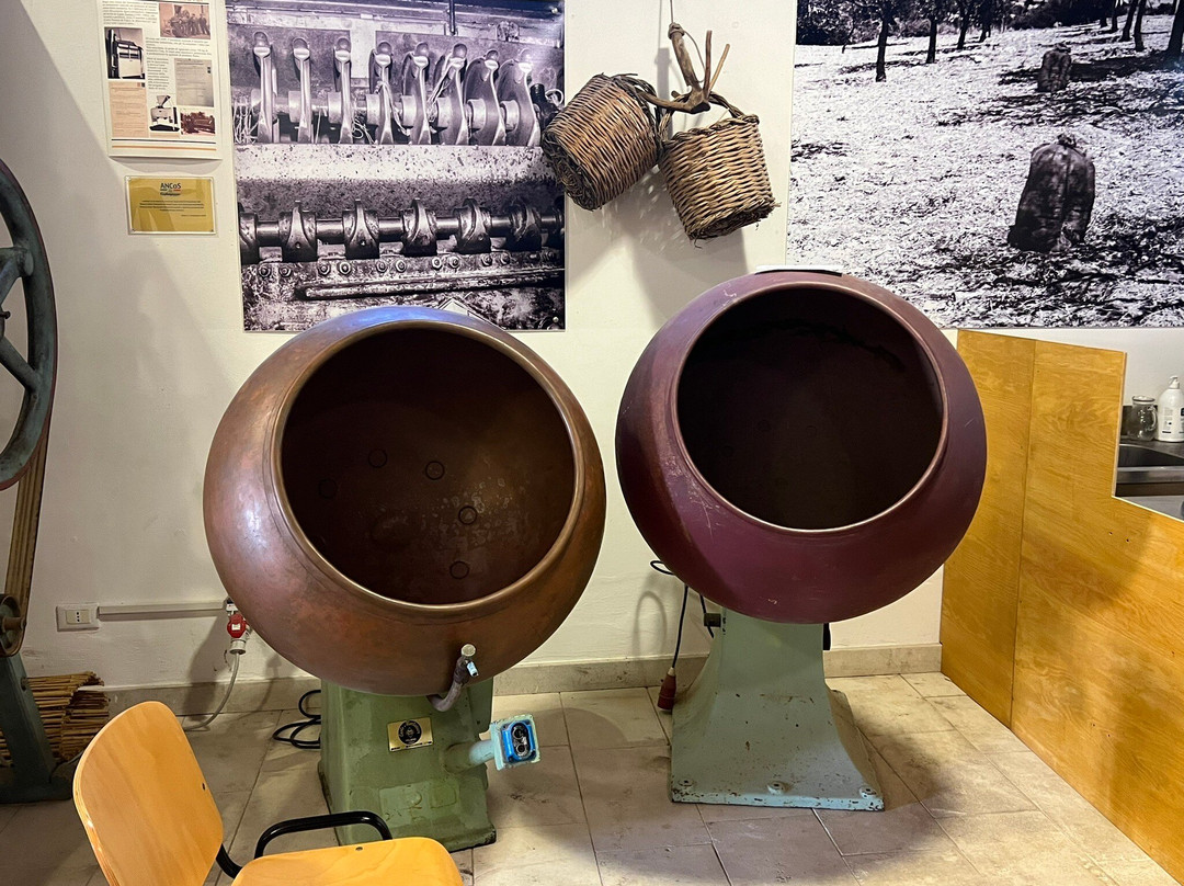 Museo della Mandorla di Avola景点图片