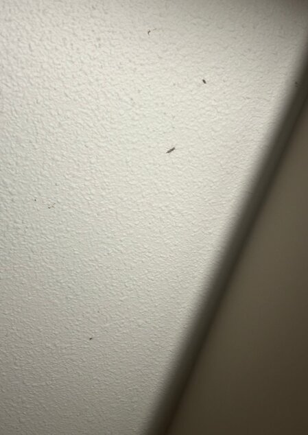 宜必思快捷沙勒罗瓦机场酒店-客卧