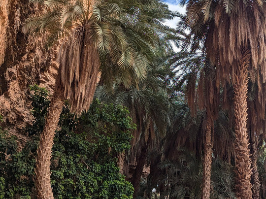 T'Ore Mauritania-诺克少必去景点