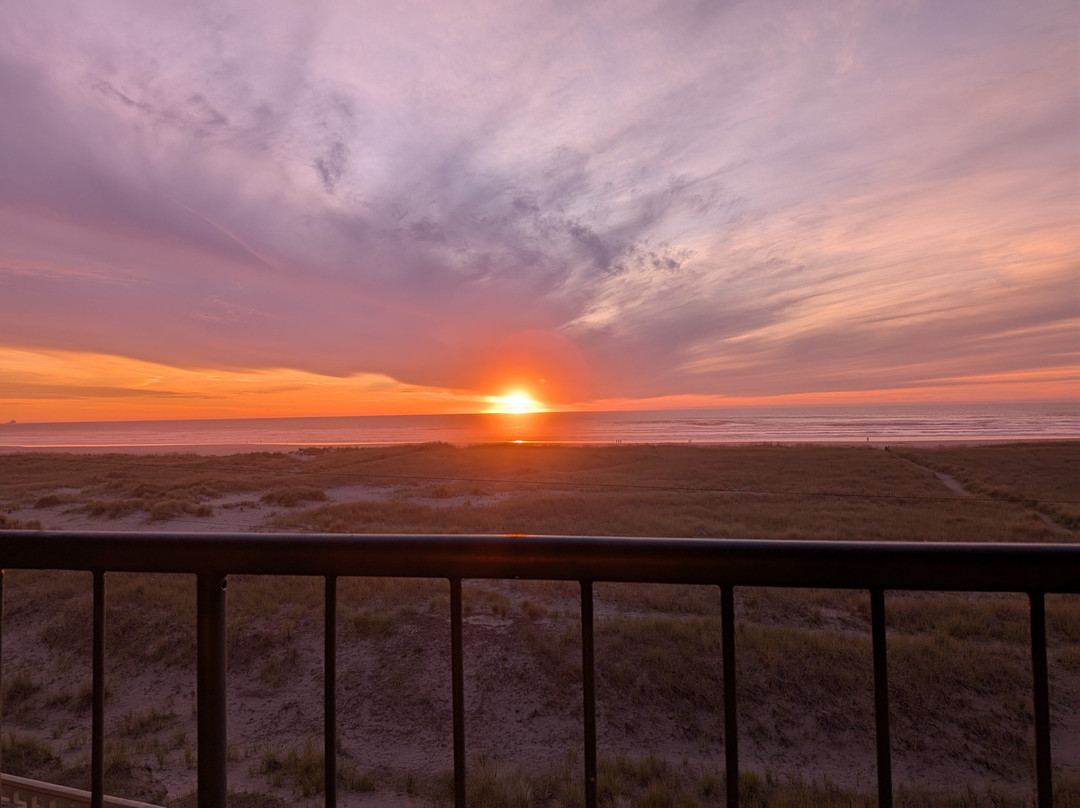 Best Western Plus Ocean View Resort主图