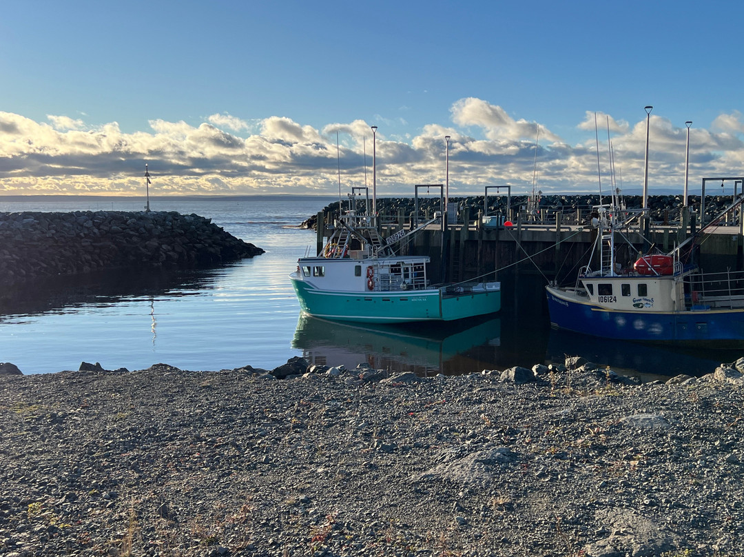 Parkland Village Inn主图