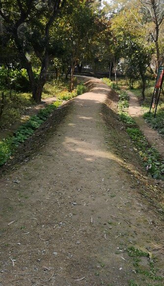 Butterfly Park-昌迪加必去景点