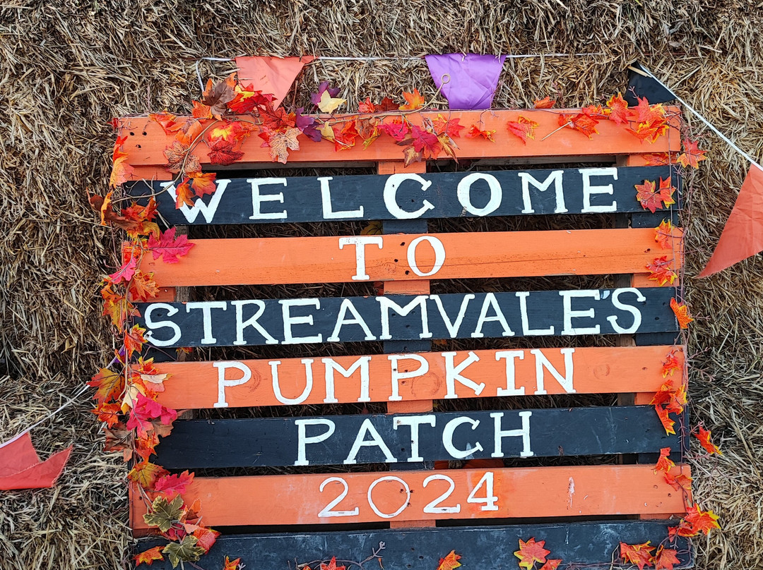 Streamvale Open Farm景点图片