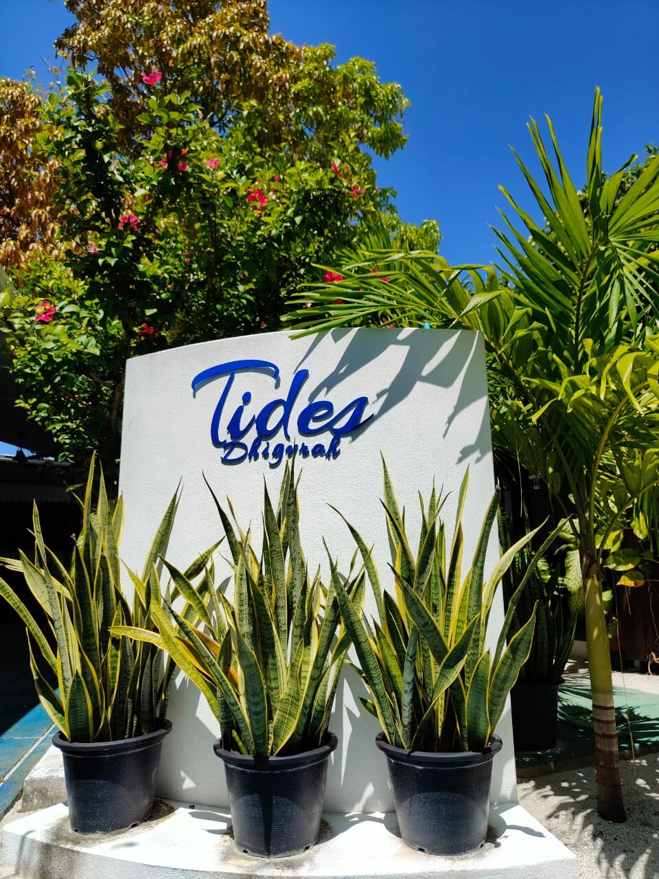 Tides Dhigurah-官方