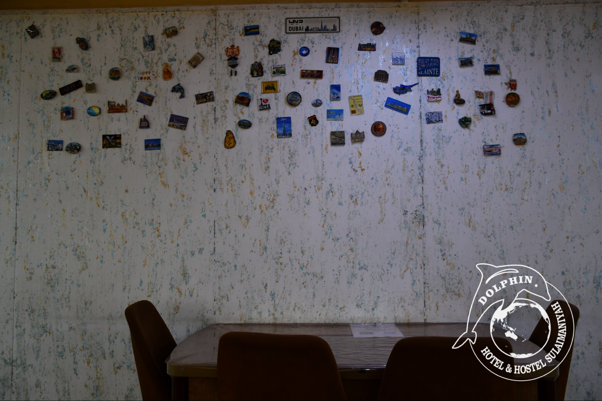 Dolphin Hotel & Hostel-官方