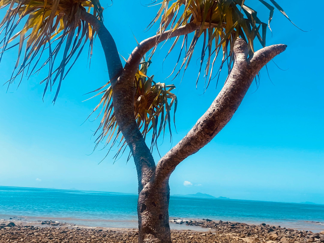 Dolphin Heads Resort主图