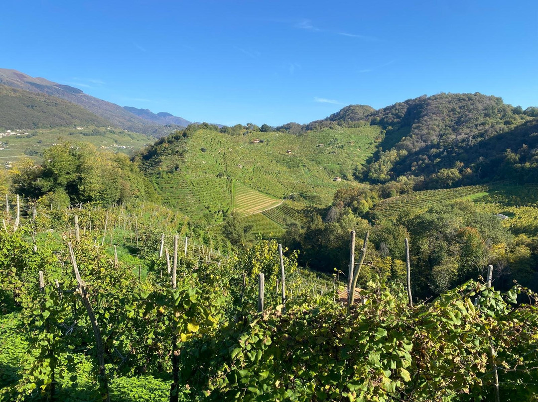 Col del lupo - Produzione e Degustazione Valdobbiadene Prosecco DOCG景点图片
