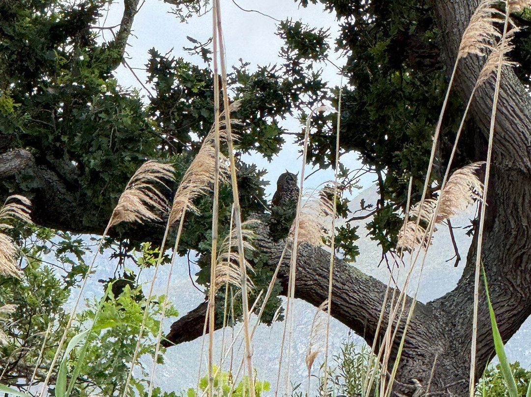 Stanford River Cruises Lady Stanford-斯坦福必去景点