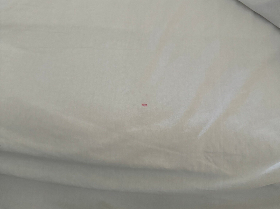 Hotel Mision Oaxaca主图