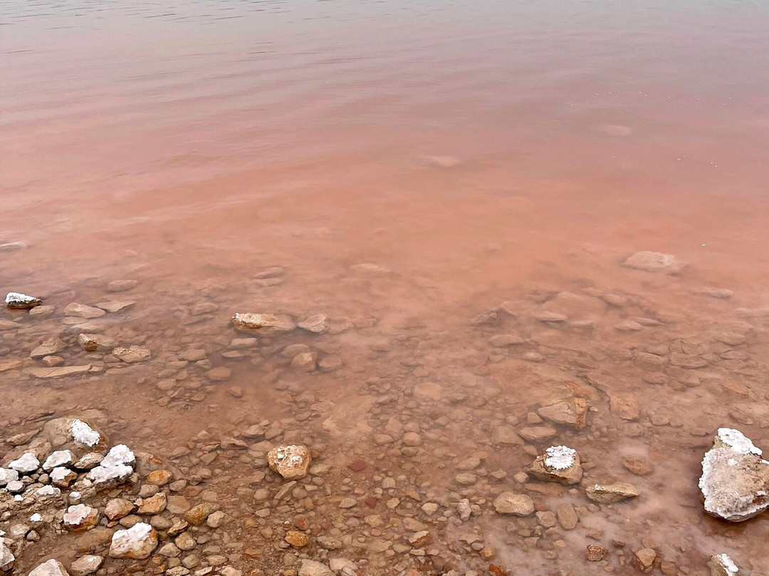Laguna Salada de Torrevieja景点图片