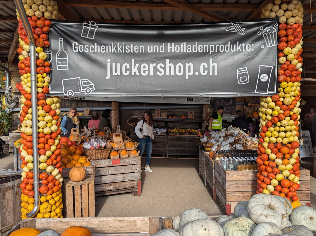 Römerhof, Juckerfarm AG-克洛滕必去景点