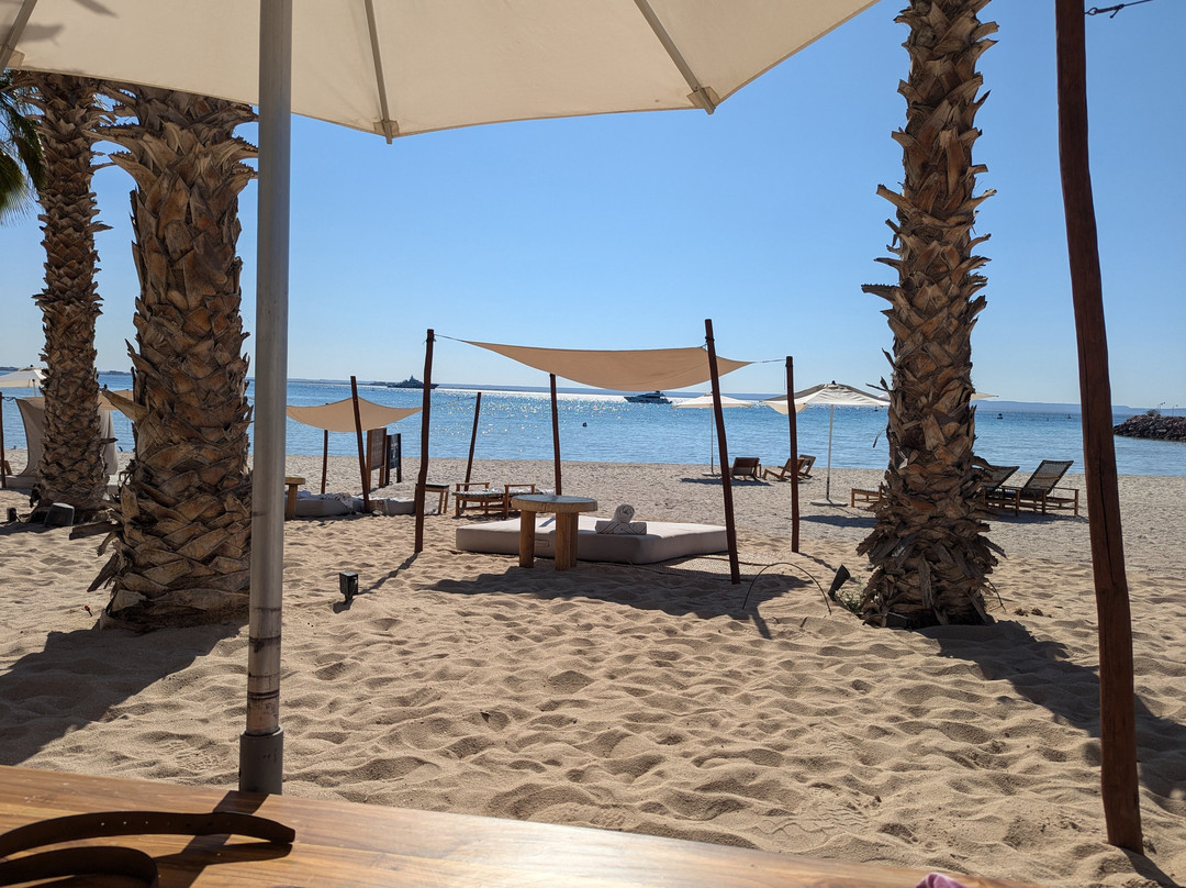 Hotel Indigo La Paz Puerta Cortés主图