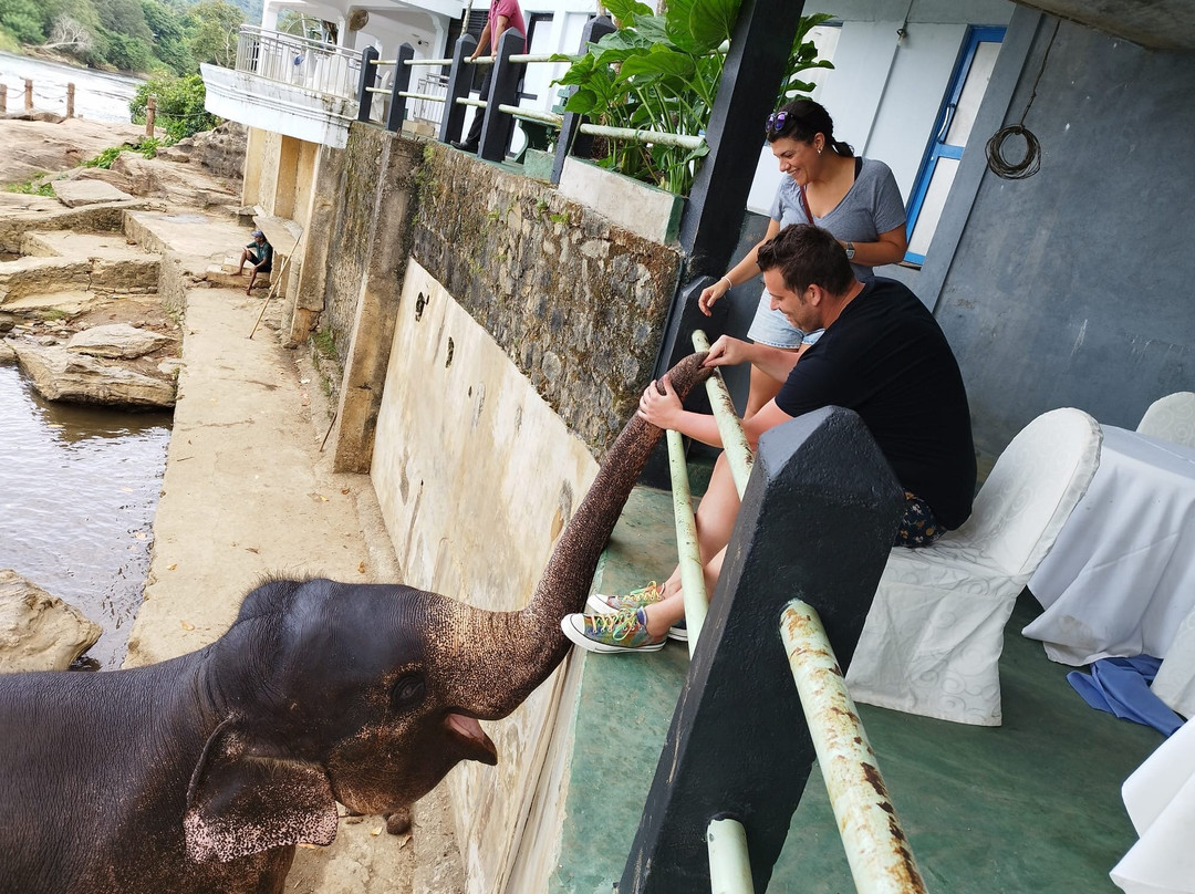 Hotel Pinnalanda主图