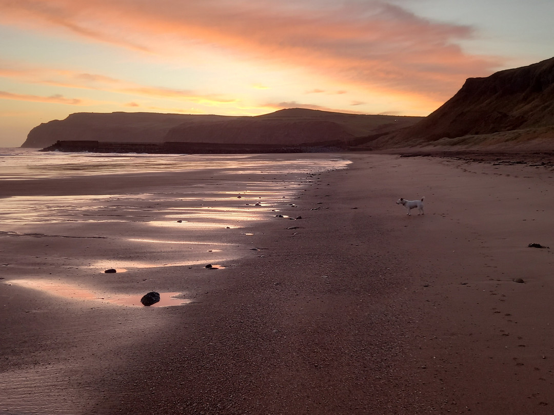 Cattersty Sands Beach景点图片