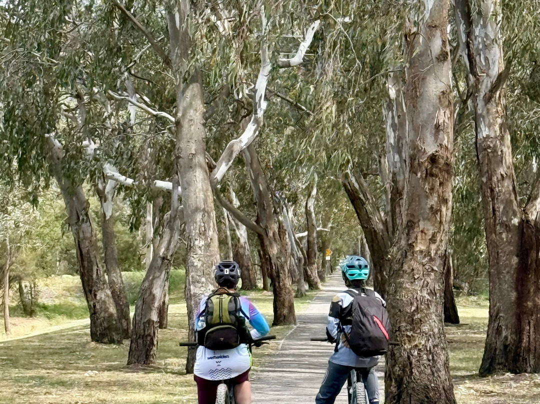 Double Black Alpine-曼斯菲尔德必去景点