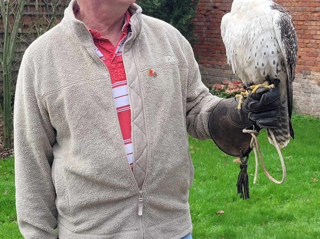 WYE VALLEY FALCONRY景点图片