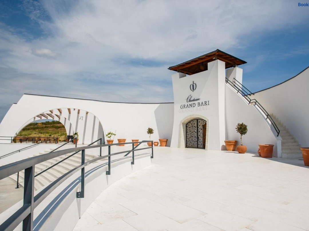 Chateau Grand Bari