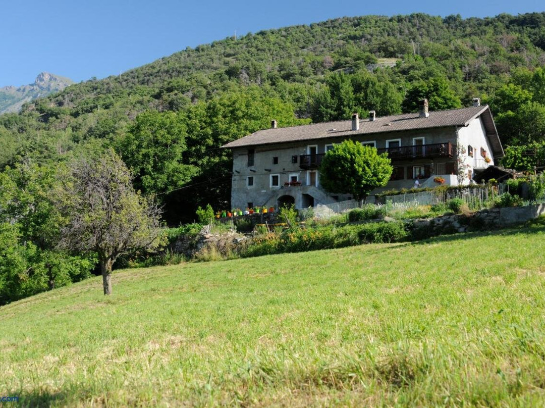 Maison Guyon