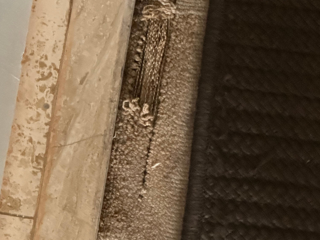 Inn At Perry Cabin主图