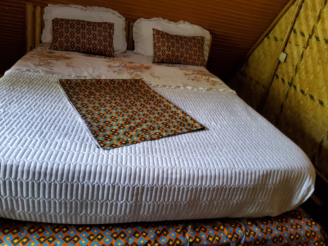 Volcanoes Forest Camp主图