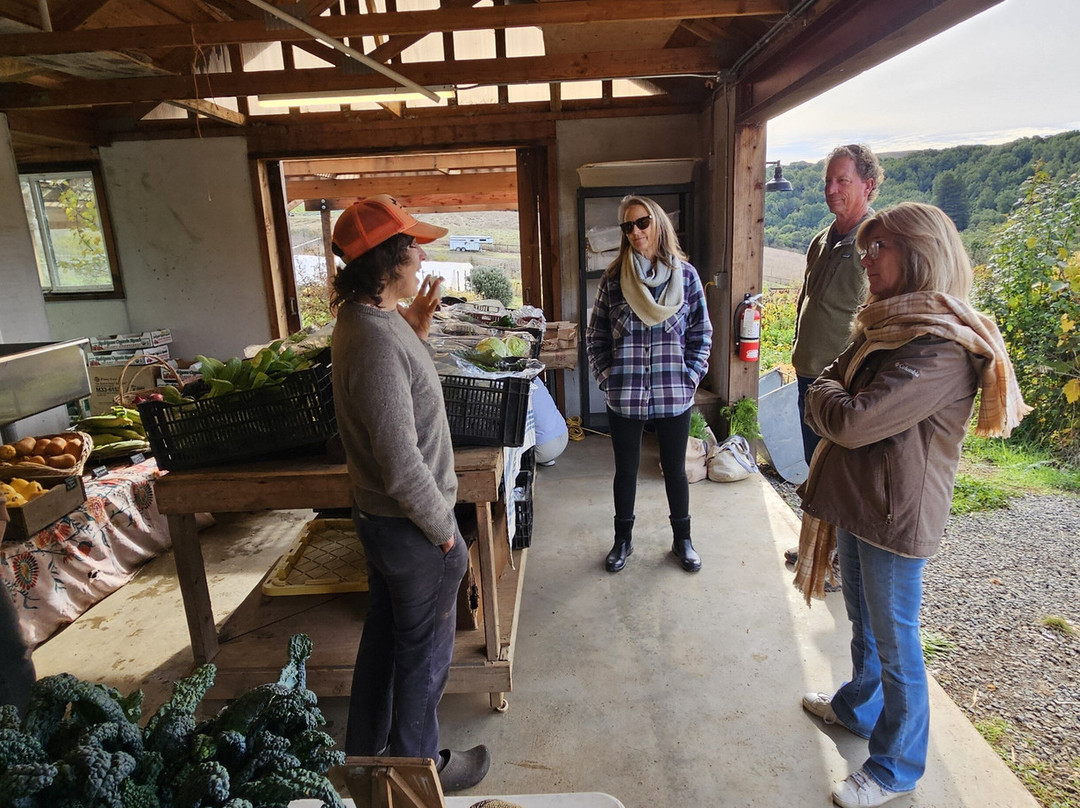 Food & Farm Tours-Point Reyes Station必去景点